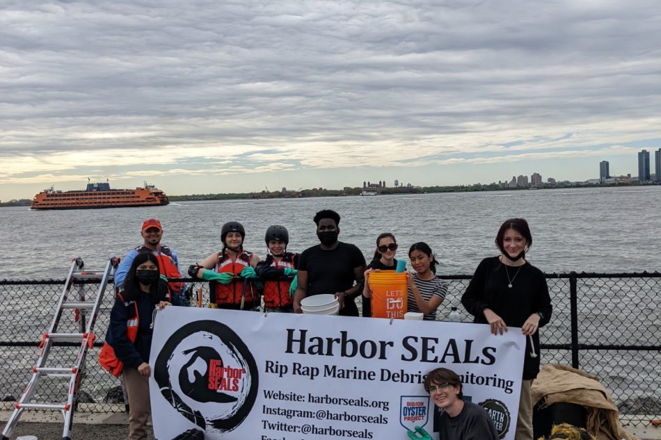 Harbor Seals Marine Debris & Climate Change Governors Island (enUS)
