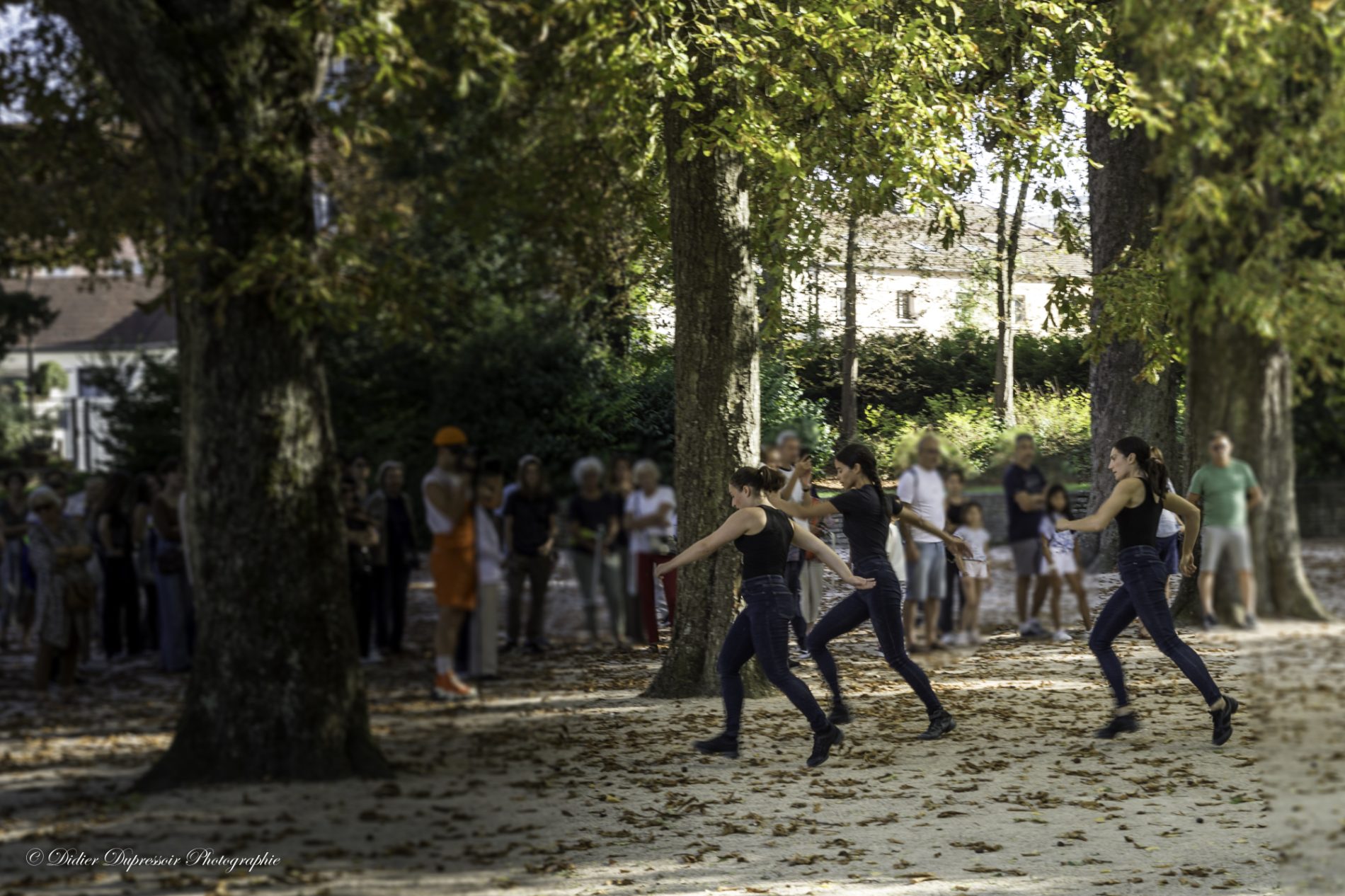 INTERVENTIONS Analphabètes Governors Island (enUS)