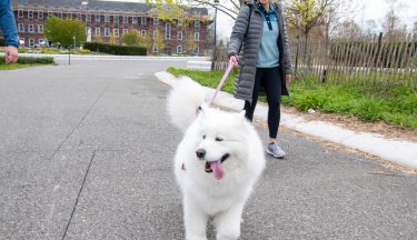 Winter Dog Days    November 1-April 30