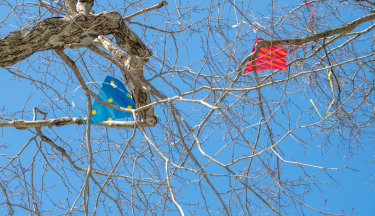 A Sudden Gust of Wind  By Lenka Clayton & Phillip Andrew Lewis  Through Spring 2026