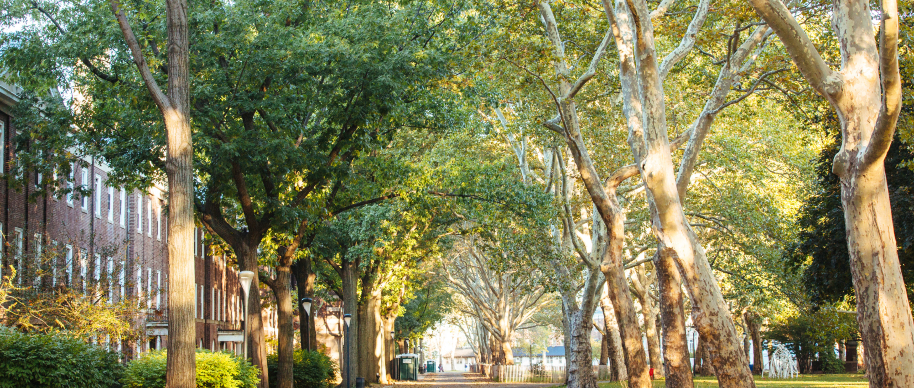 Real Estate Governors Island